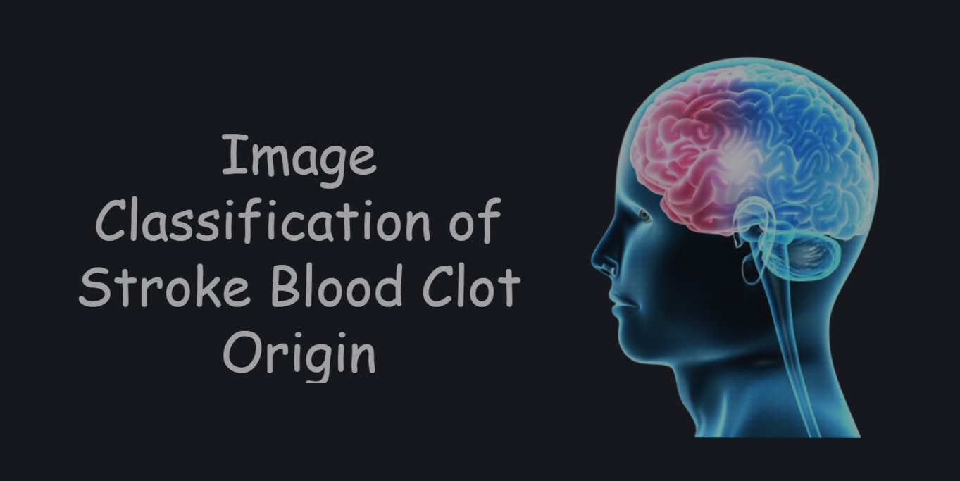 Stroke-Blood-Clot-Classification