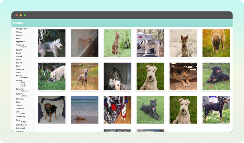 GitHub - AMWARREN21/dog_gallery