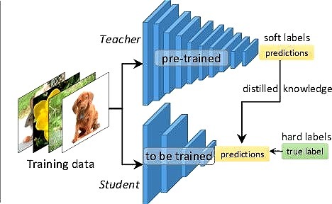 GitHub - IdoAmit198/Knowledge-Distillation-Project