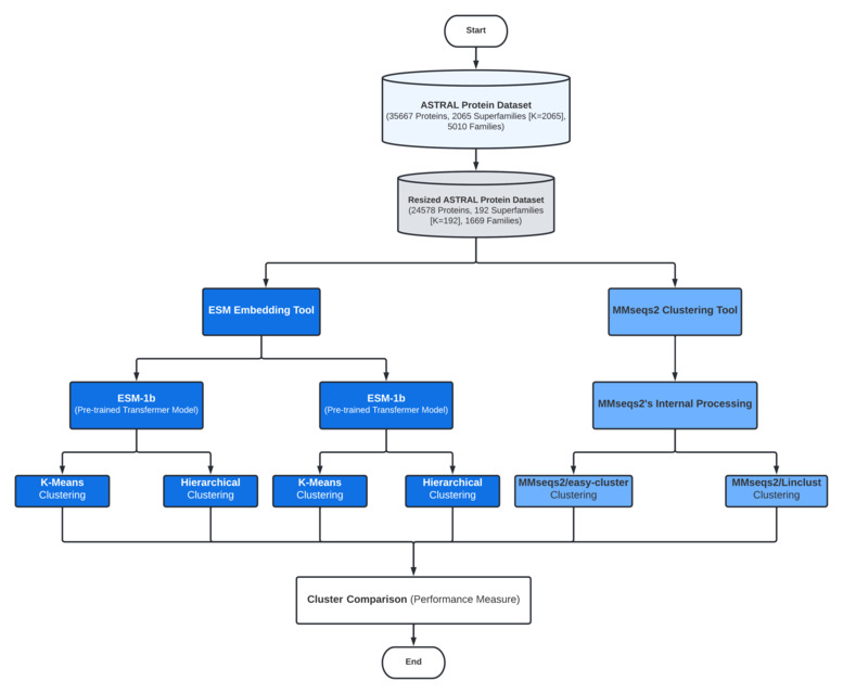 protein-clustering