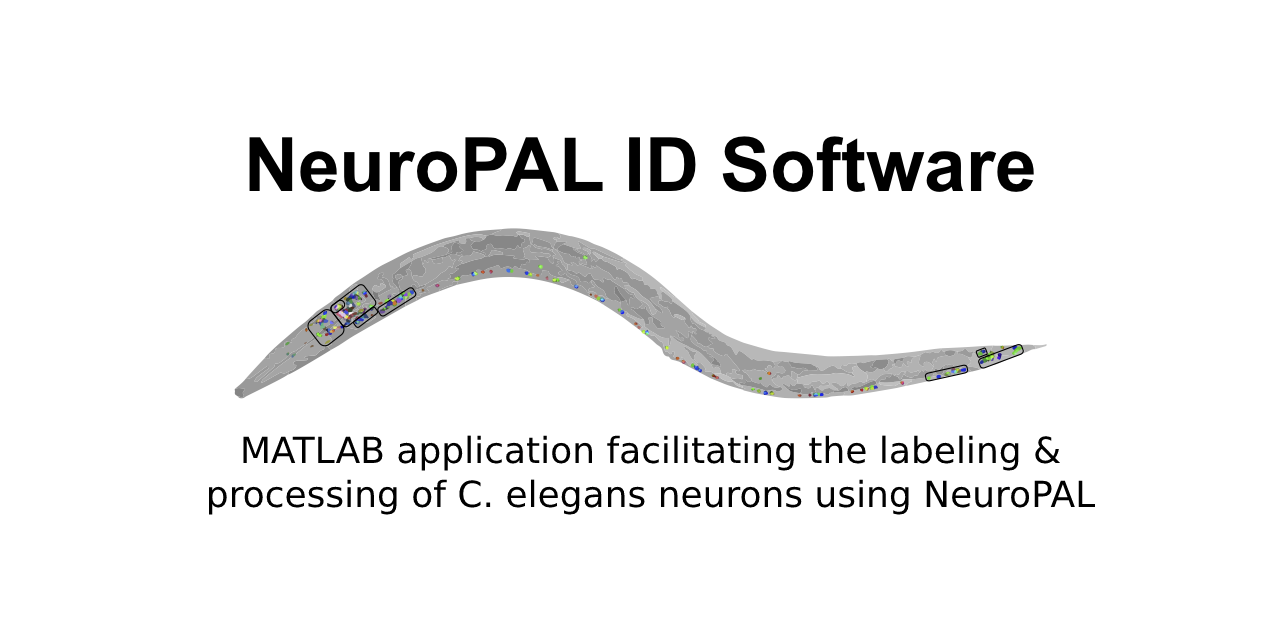 NeuroPAL_ID