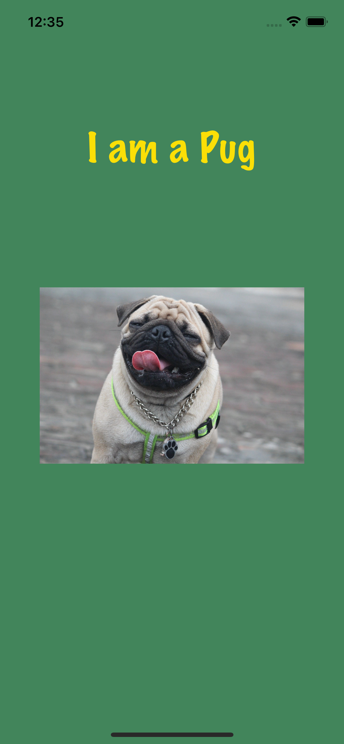 GitHub - nancyjain0631/I-am-a-Pug: This is the basic app that shows a ...
