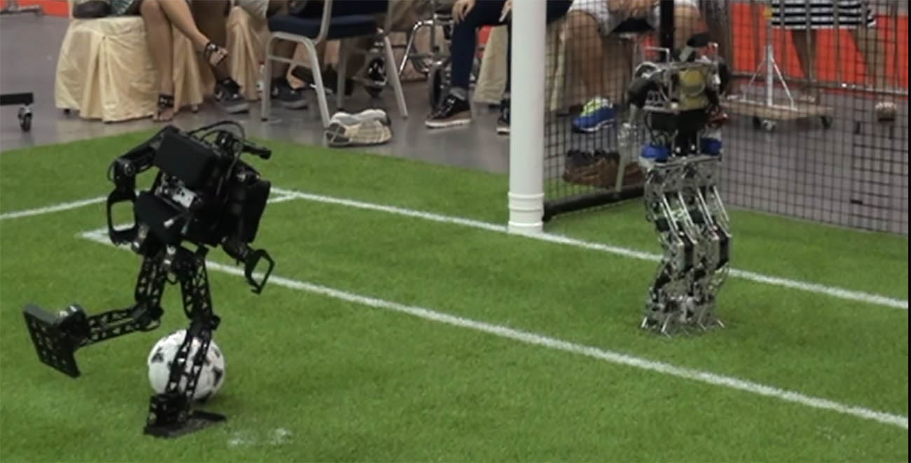 HumanoidSoccerRobot