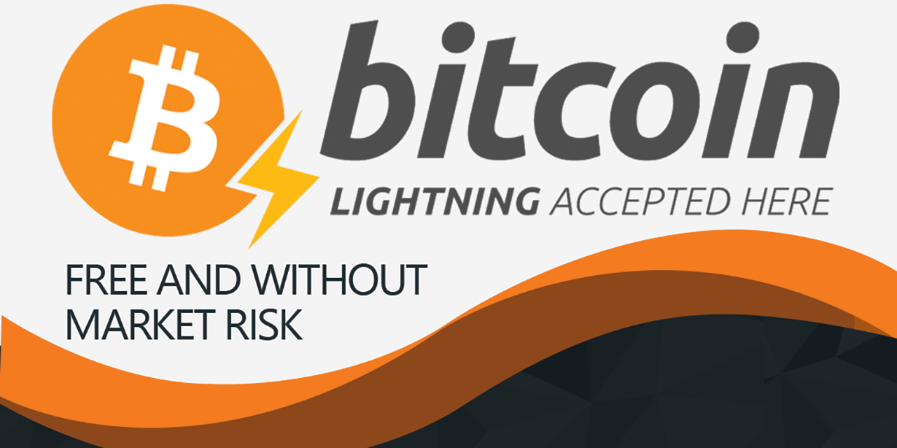 GitHub - Impa10r/lnpos: A free and simple Lightning Network Point-of ...