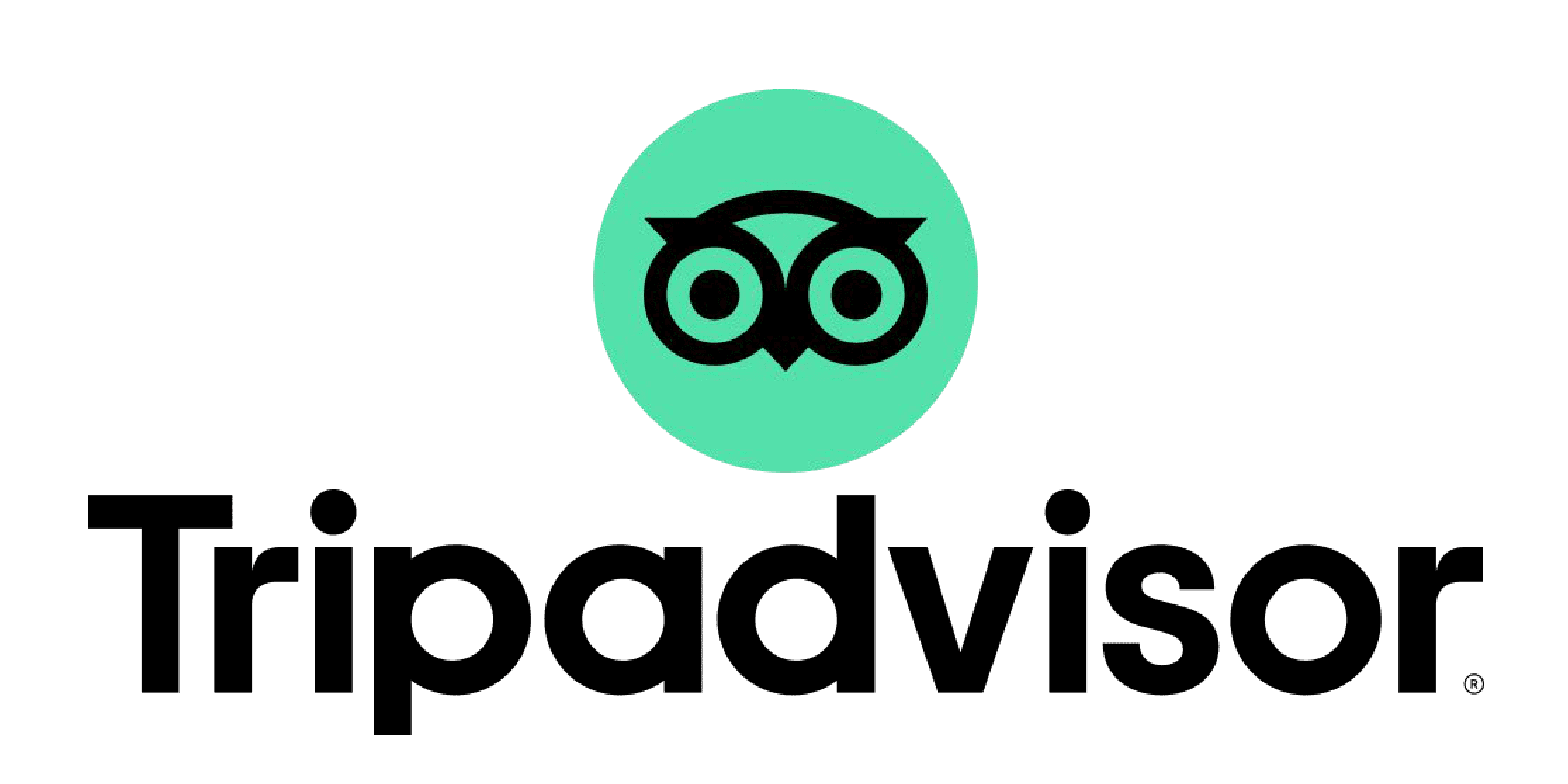 Advisor me. Трипадвизор лого. иконка tripadvisor. tripadvisor logo. трип эдвизорзначок.