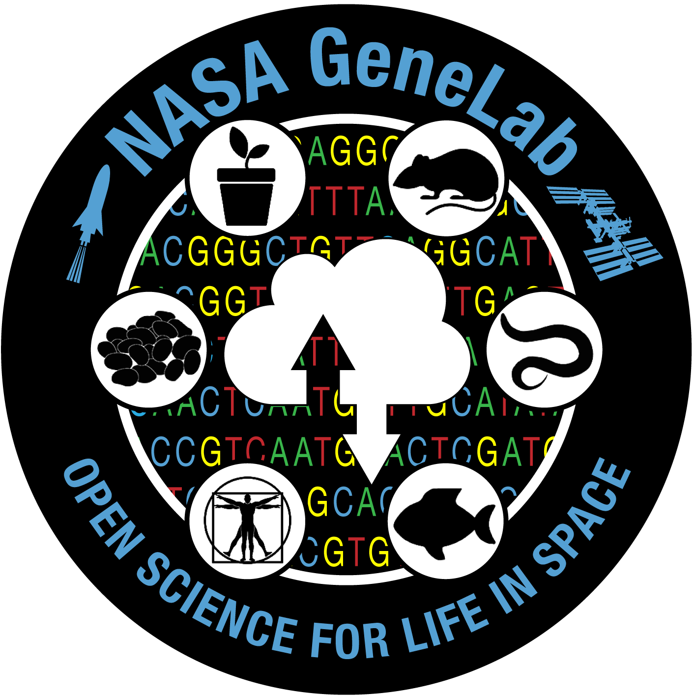 Github Kristenpeach Nasa Genelab Training Github Io Test Io