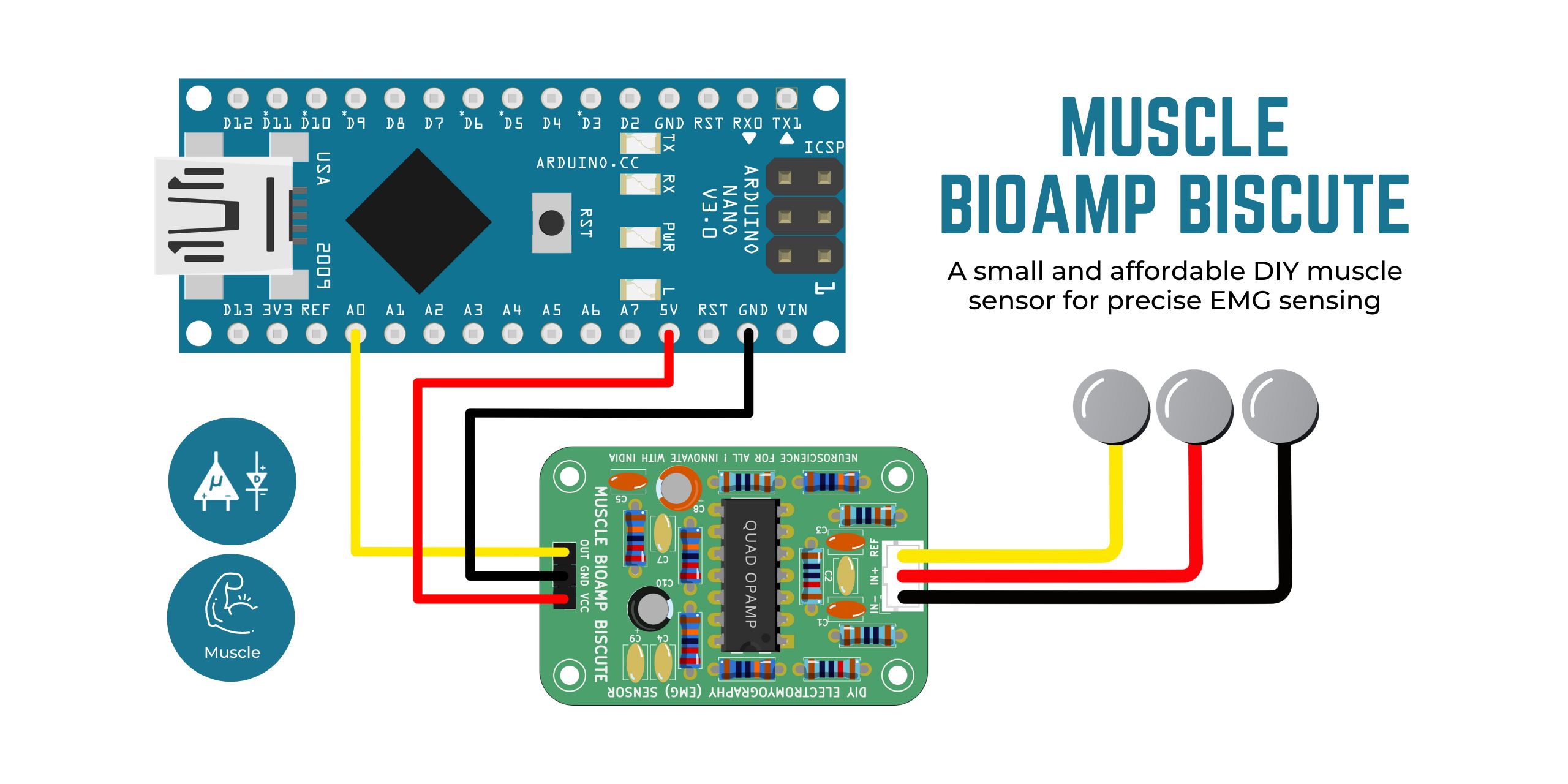 Muscle-BioAmp-BisCute