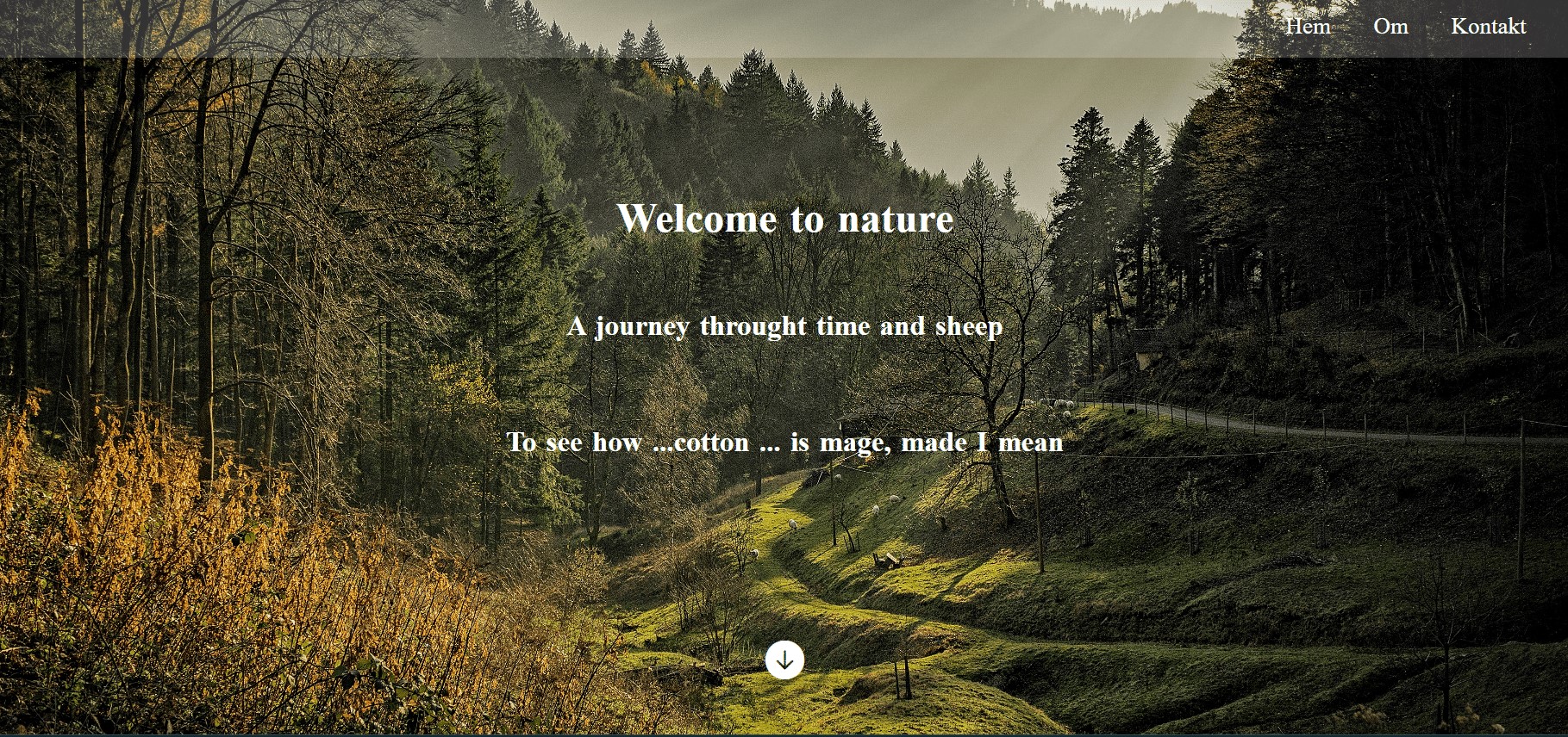 GitHub - sergejsvoronins/Given-design: Design copy for webpage.