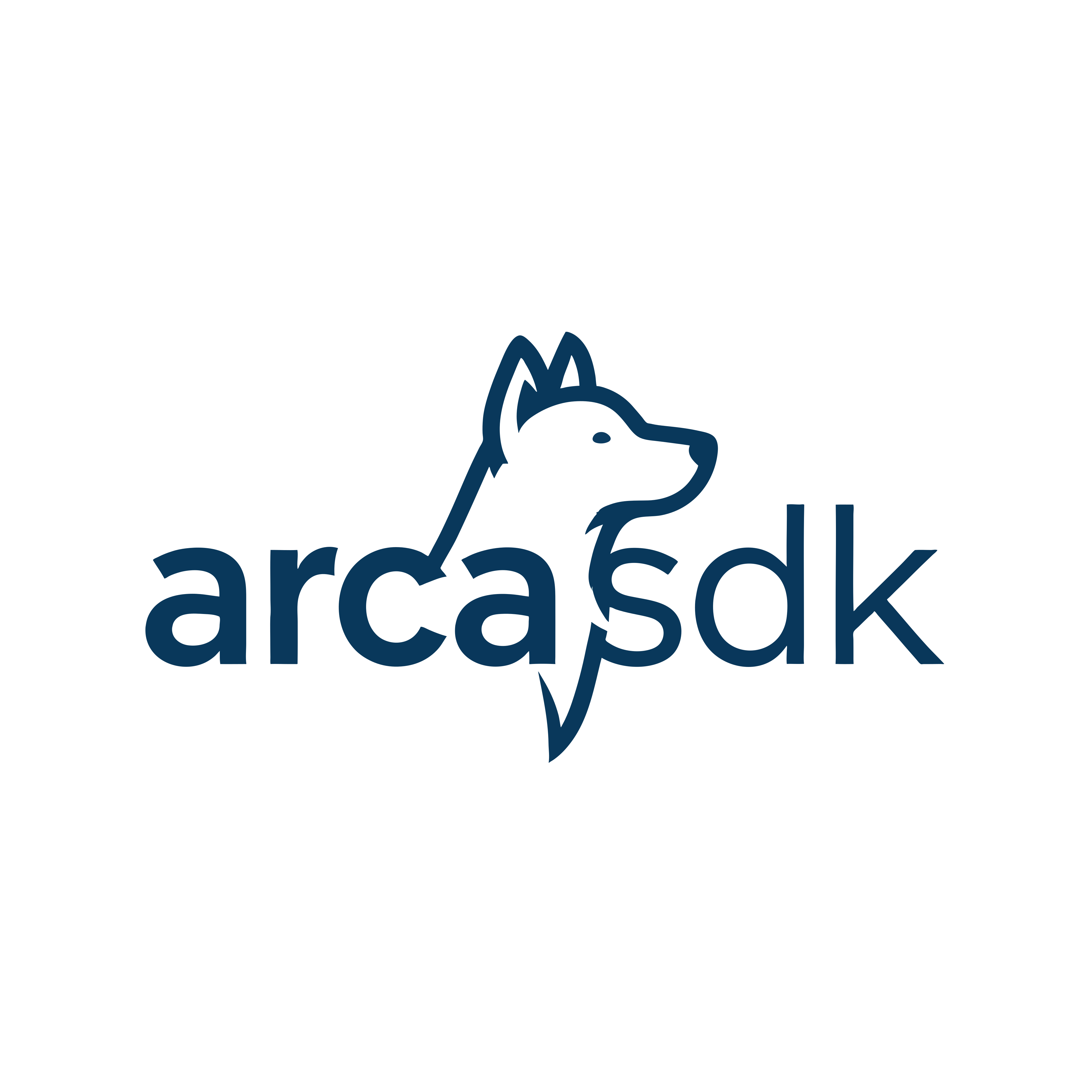 arcasdk