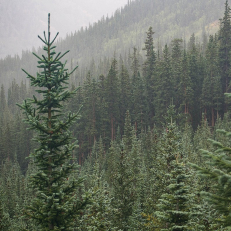 GitHub nghosh/nghoshhub.github.io