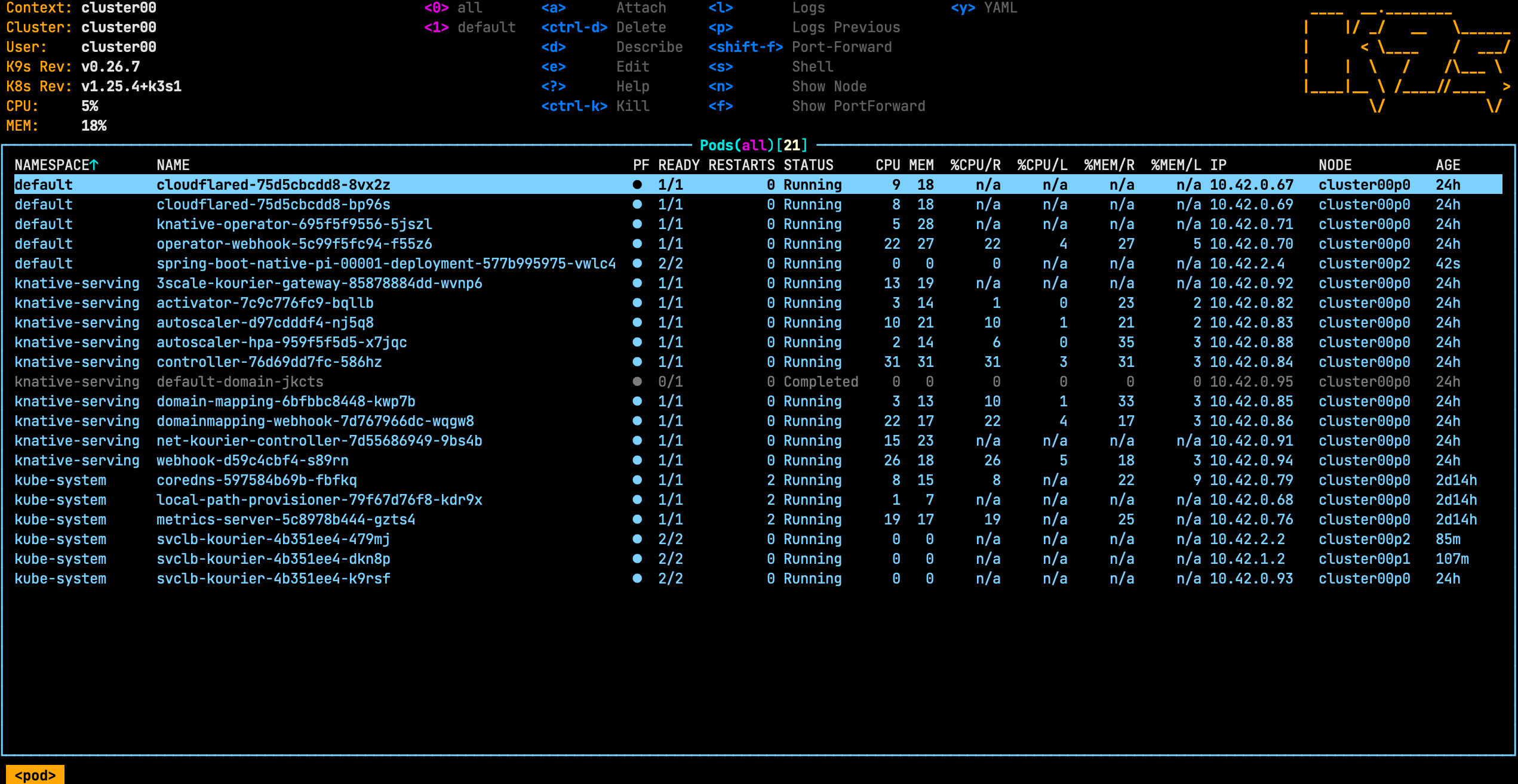 knative-serving-raspberry-pi