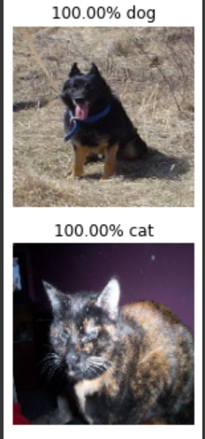 cat-and-dog-image-classifier