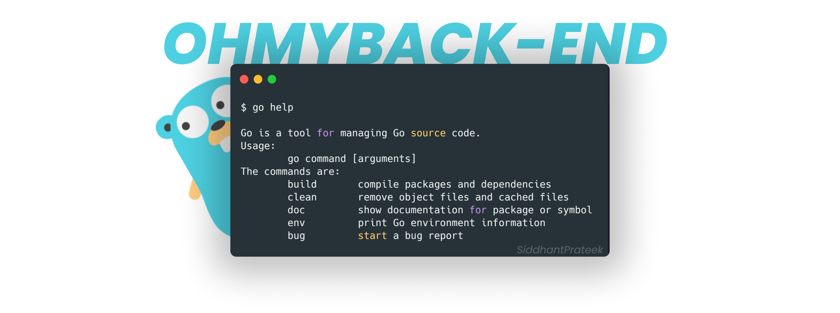 ohmyback-end