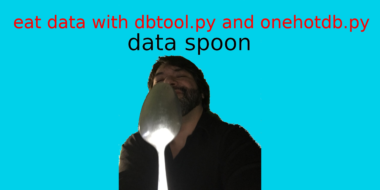 dataspoon