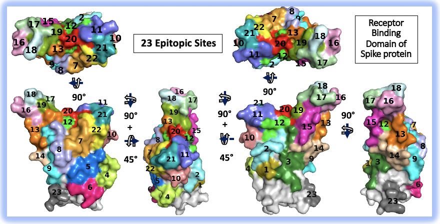 epitope-paratope-interaction · GitHub Topics · GitHub