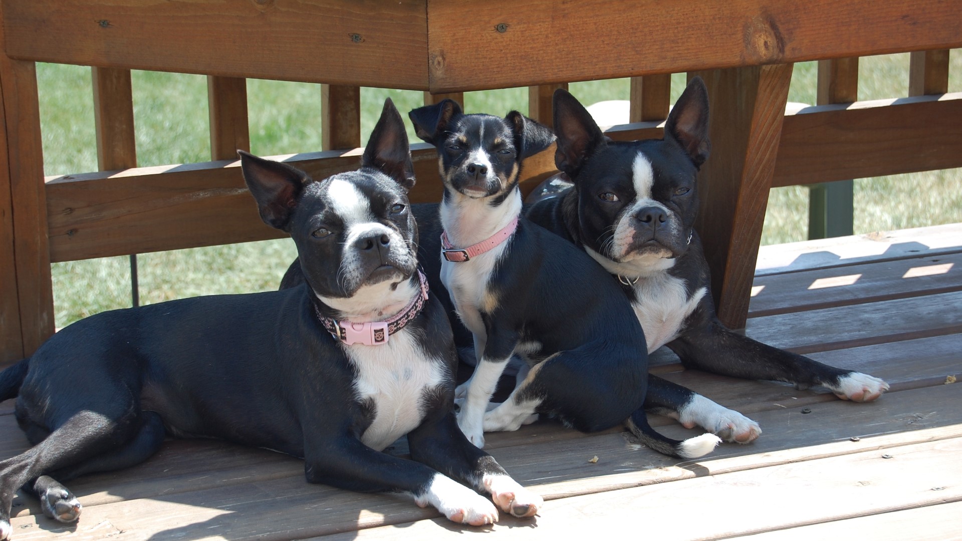 Github Stevebuckner27 Storageaccount Bicep Sa