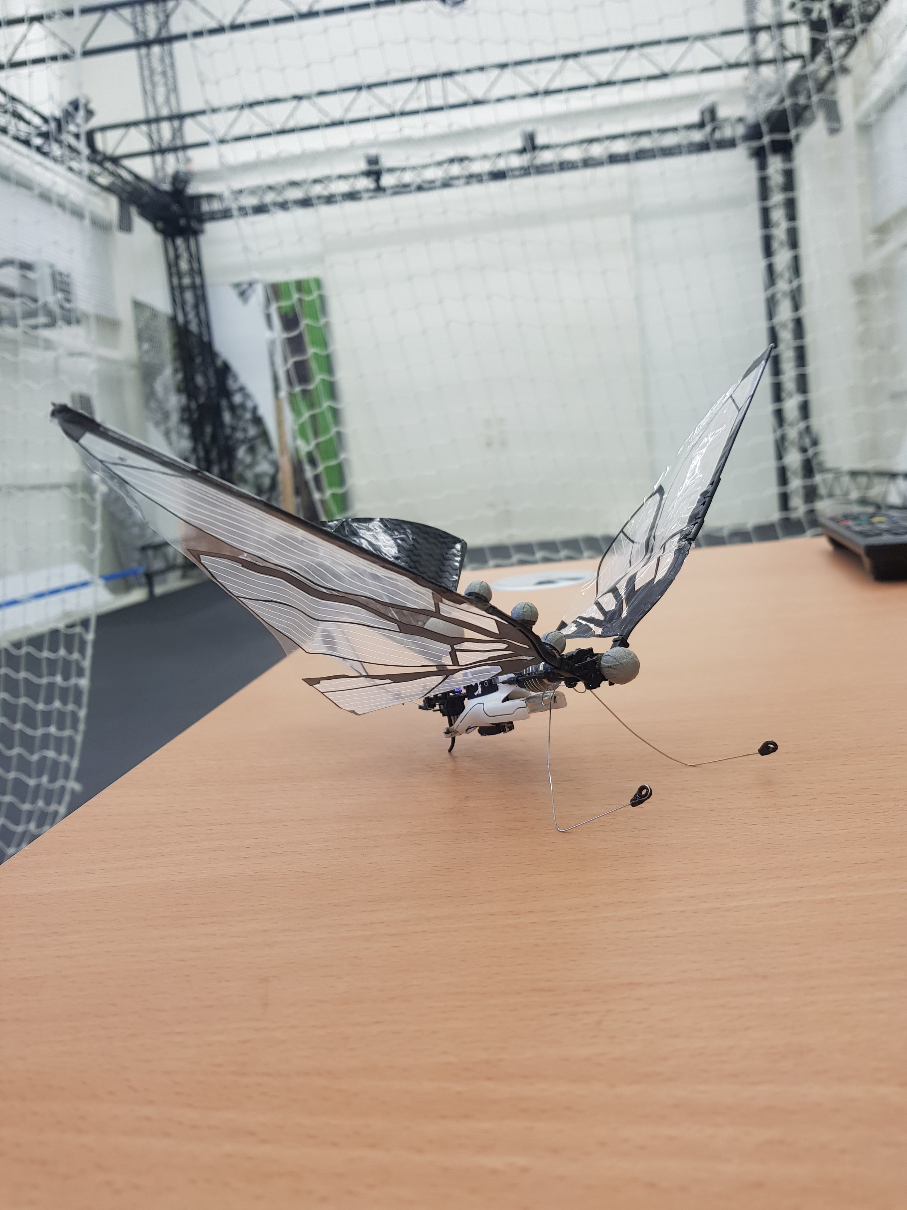 Ornithopter drone clearance