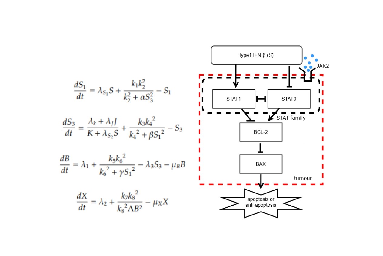 GitHub - sachinkavindaa/IndustrialMathematicsL3: This project appears ...