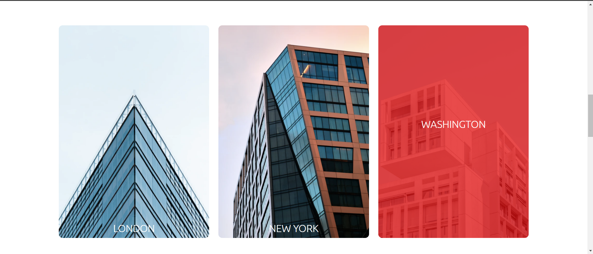 Github Rider315 Organization Website