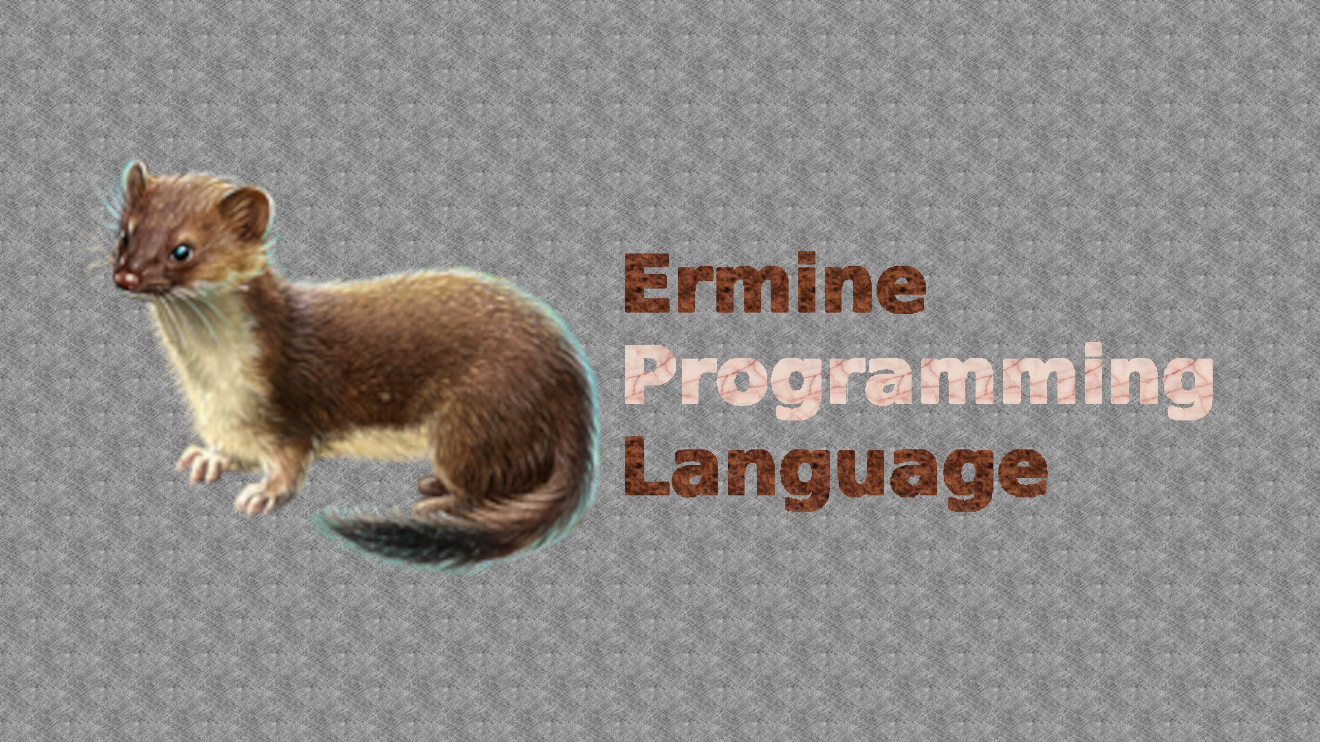 SNU_2D_ProgrammingTools_IDE_Ermine