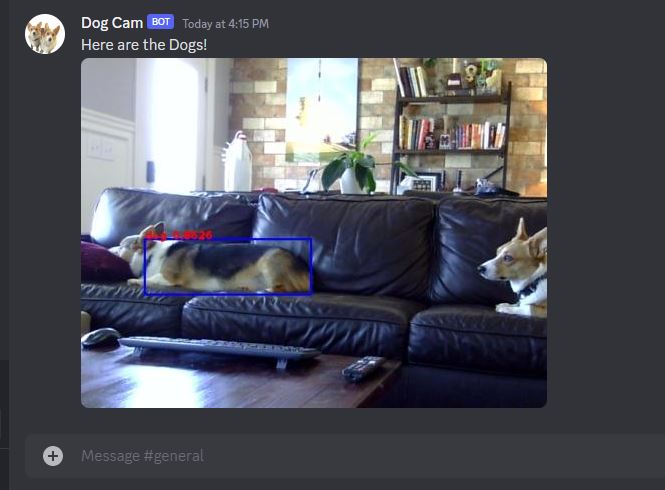 GitHub - sammcdsam/dog_detector: A dog detector built using YOLOV3 and ...