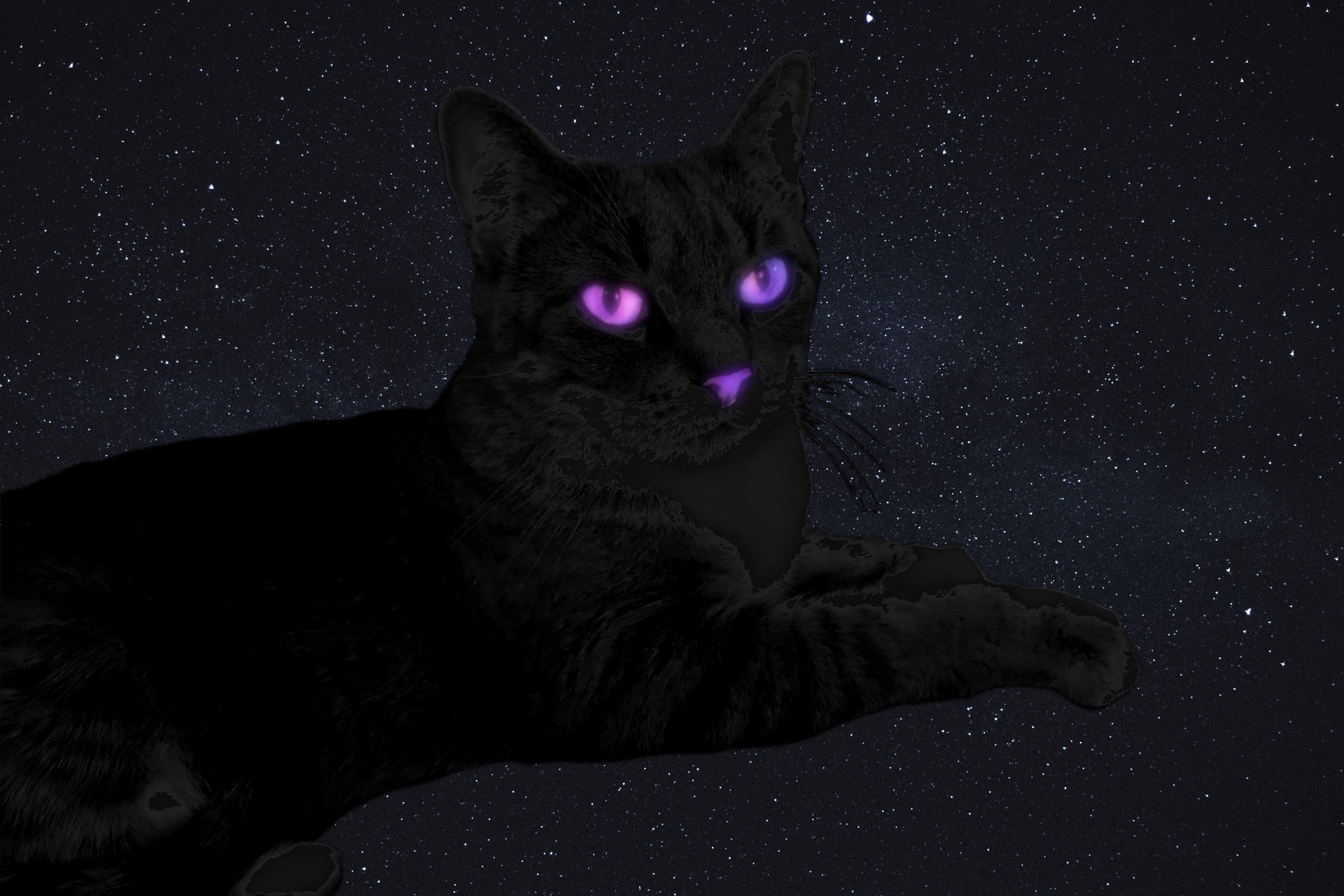 GitHub - endercatstudios/endercatstudios.github.io
