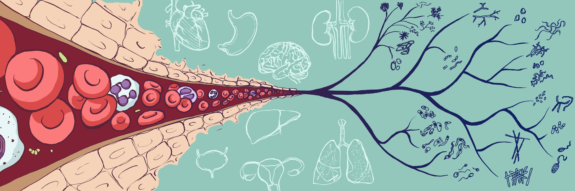 heuristic-scientific-research