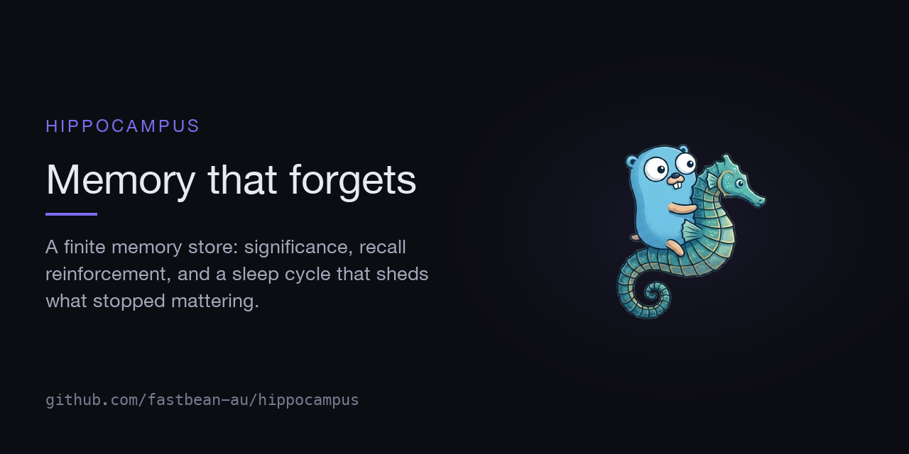hippocampus