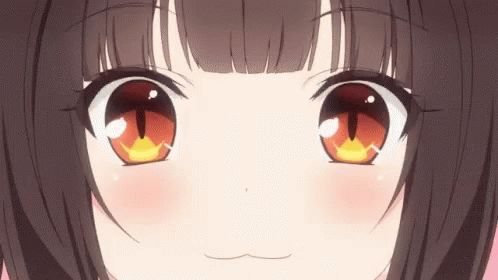 gimme_neko