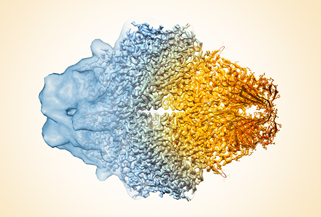 kuixu/awesome-cryoem