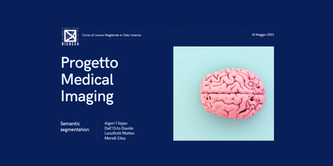 GitHub MattLanz/MedicalImagingExam Project for Medical Imaging