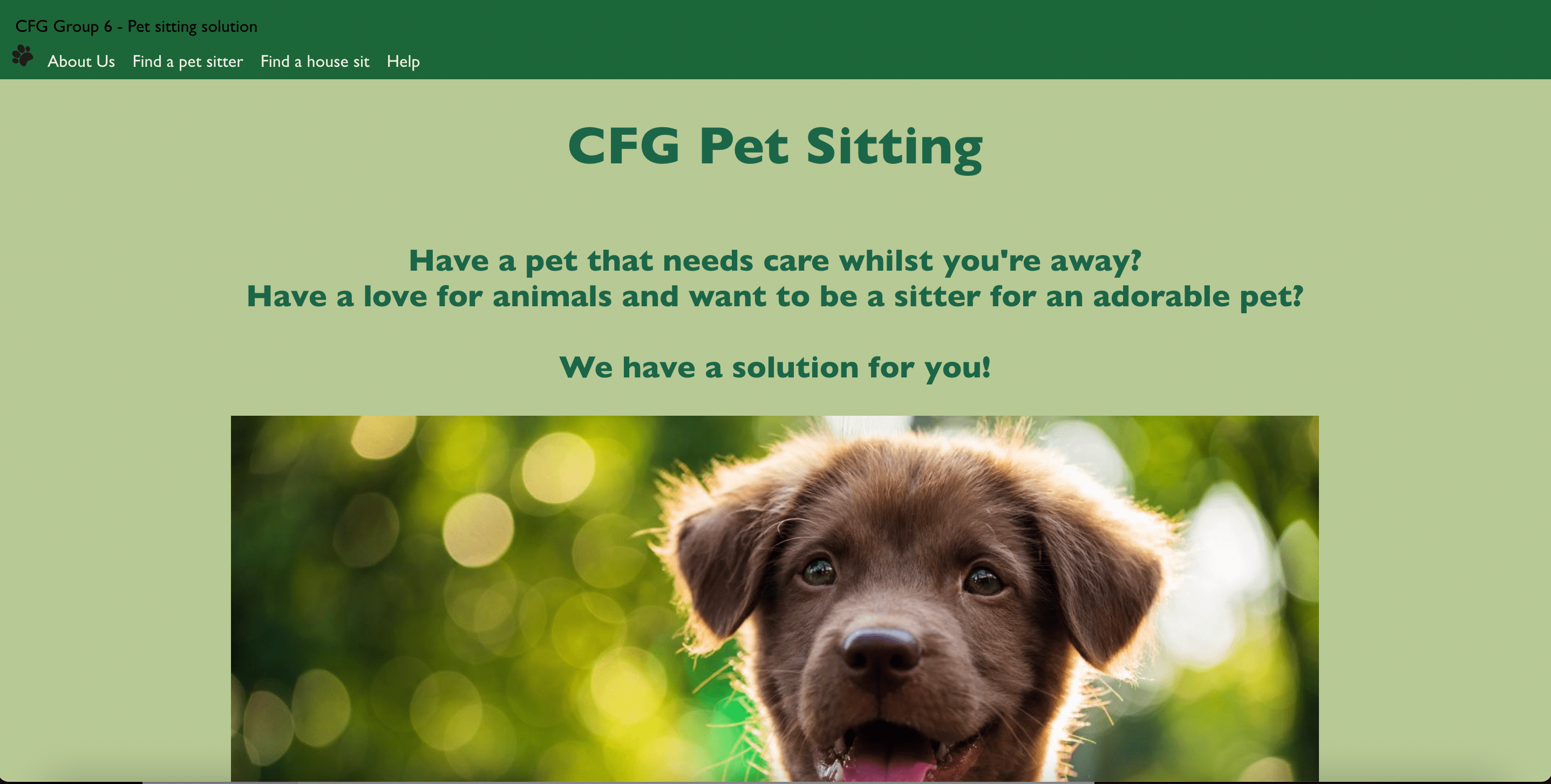 GitHub mgrinstein/petsittingapp A petsitting website using React.