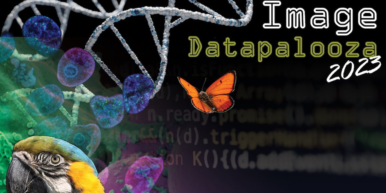 Image-Datapalooza-2023