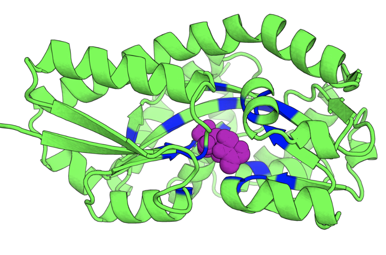 af2bind_prod/af2bind_large_pdb.ipynb at main · arteemg/af2bind_prod ...