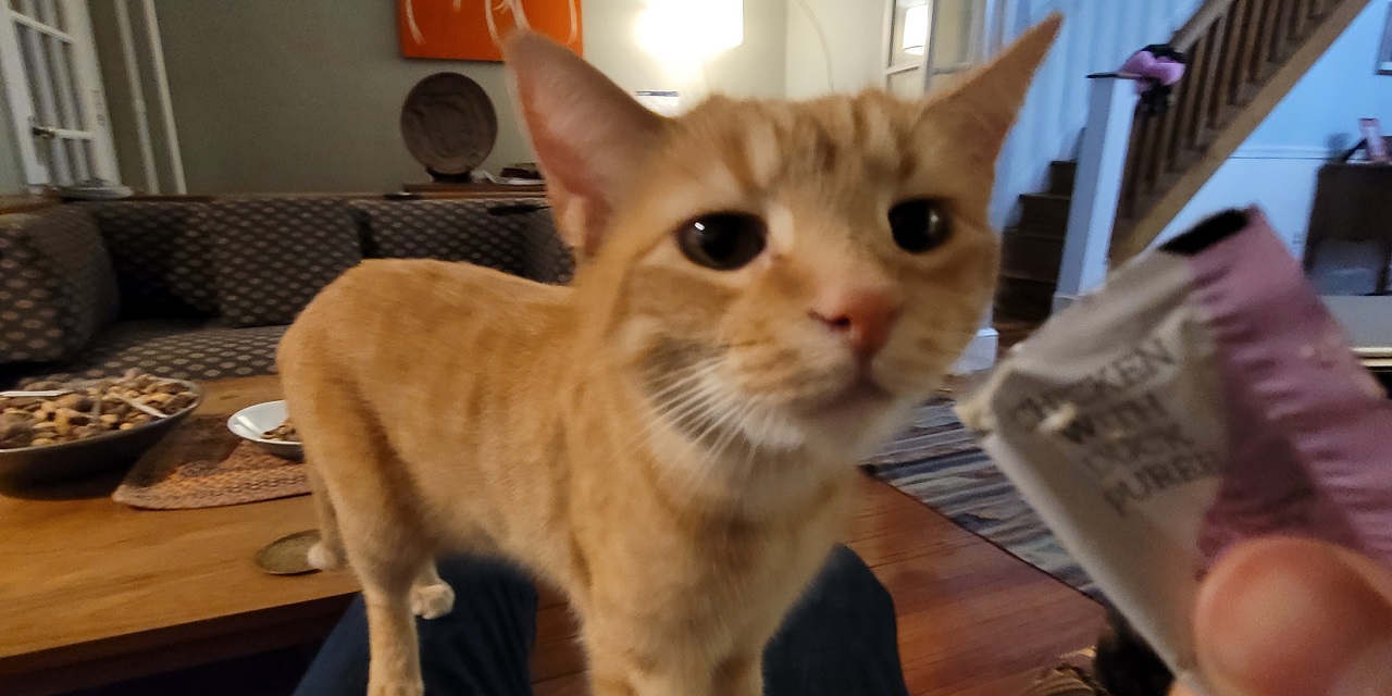 Github Lucete28 Lucete28 Github Io