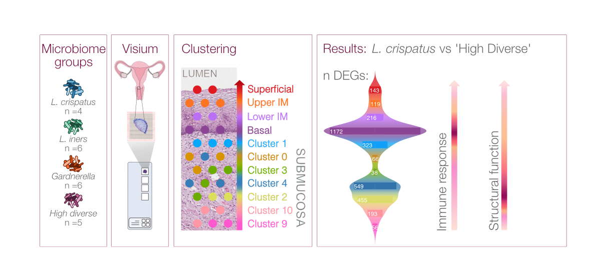 Spatial_Microbiota