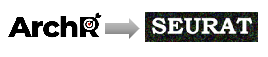GitHub - maggiebr0wn/ArchR-to-Seurat: A tool which converts an ArchR ...