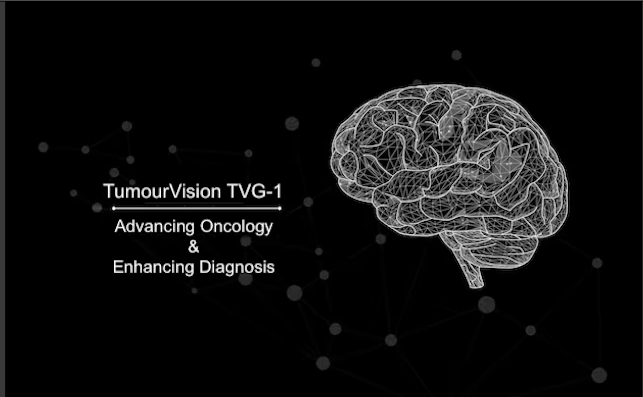 GitHub - Josh-The-Developapa/TumorVision: The TV Generational models ...
