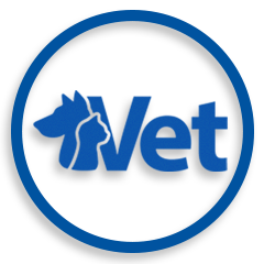 vet-clinic-db