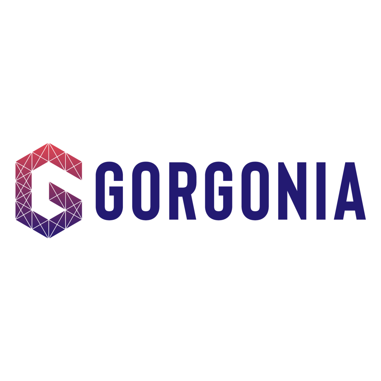 gorgonia/gorgonia