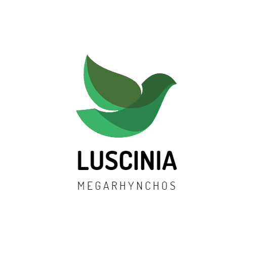 GitHub BackendLee/lusciniamegarhynchos Web application brings your