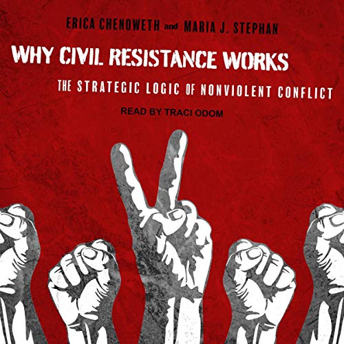 GitHub - Mike-gag/WhyCivilResistanceWorks: A study regarding the ...