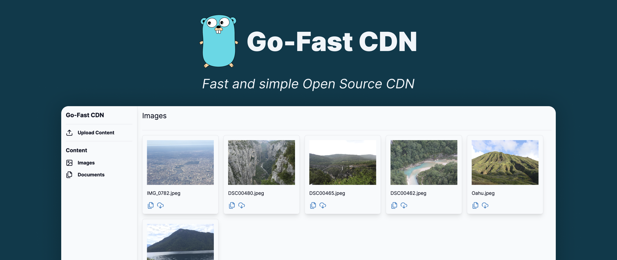 go-fast-cdn