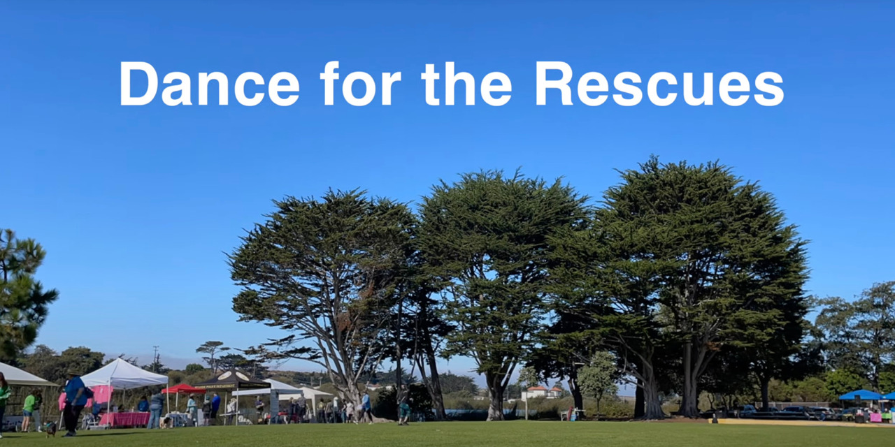 dancefortherescues.github.com