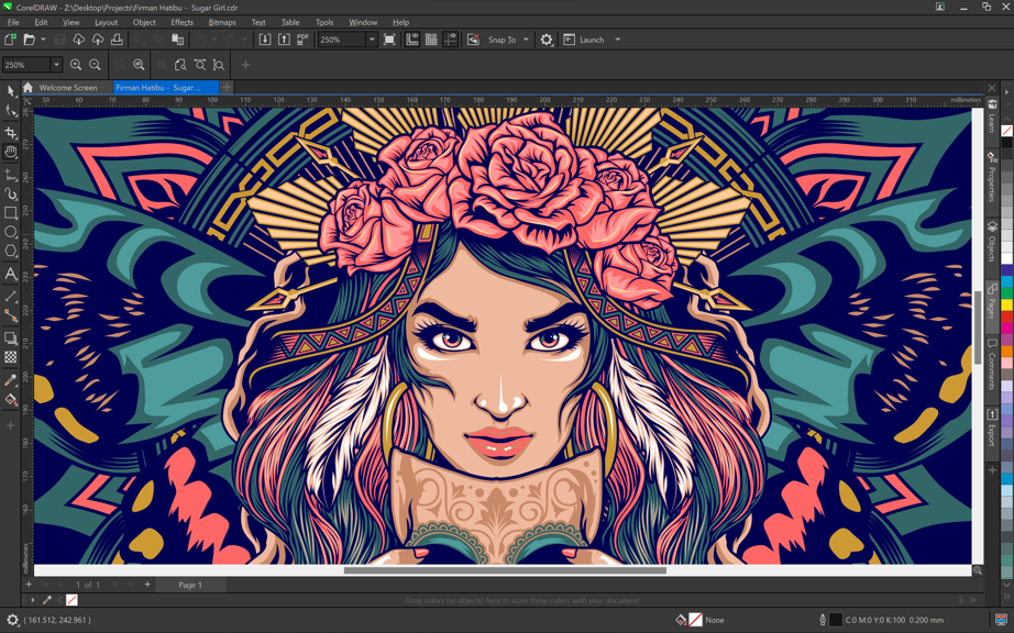 coreldraw-graphics-suite-2024-crack