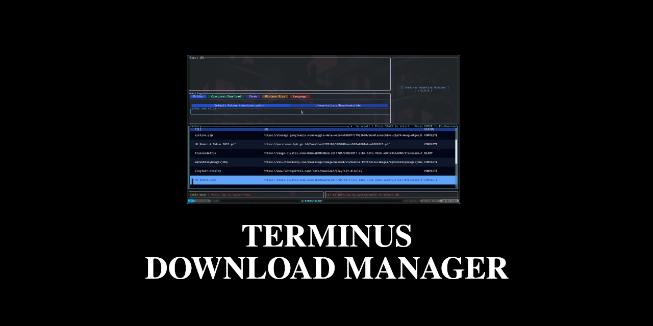 terminusdm