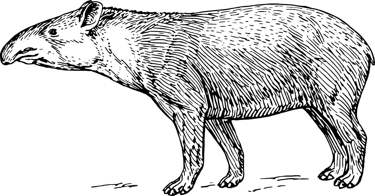 GitHub - PacoVK/tapir-helm: Official Helm charts repo for Tapir ...