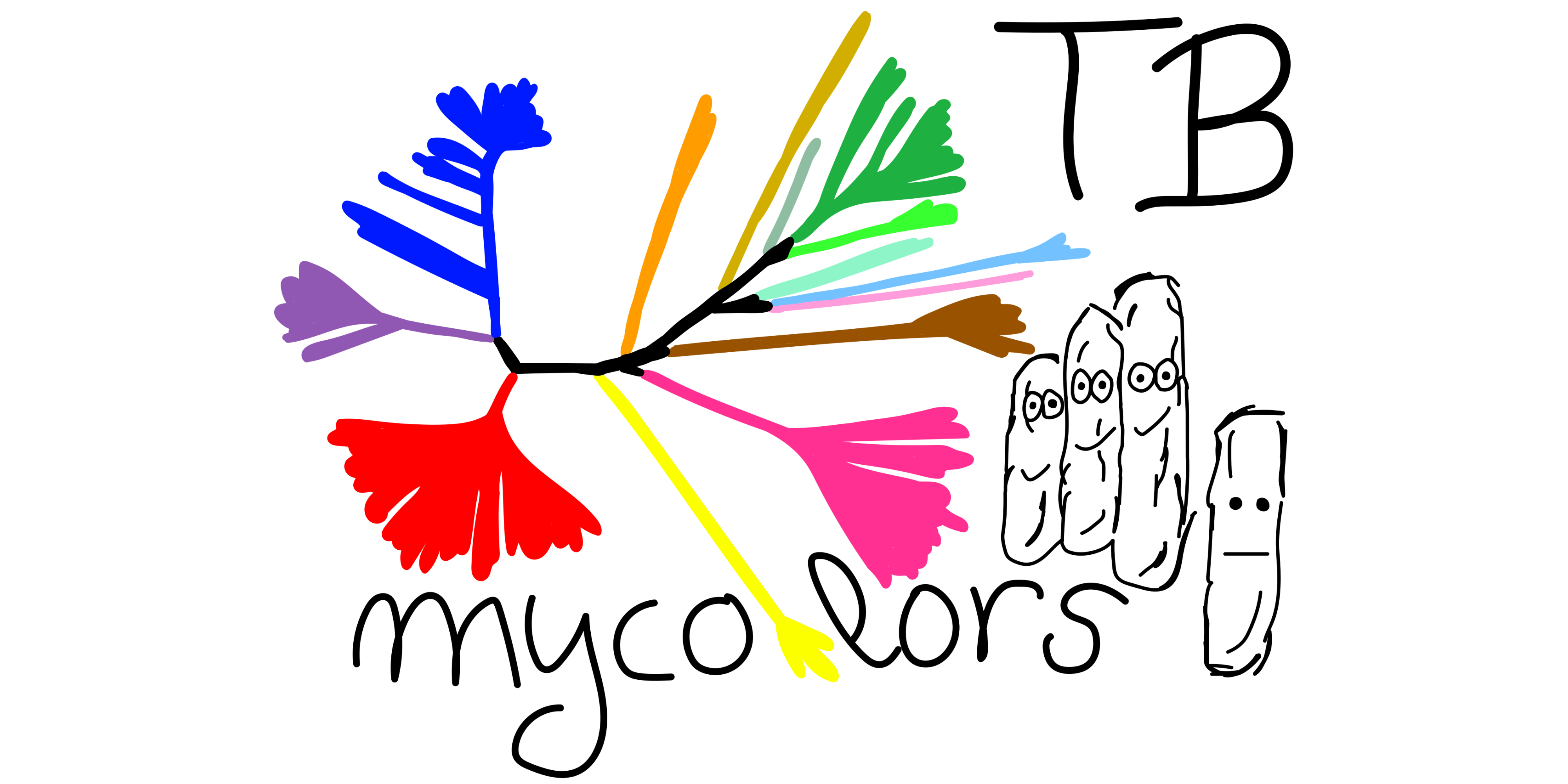 mycolorsTB