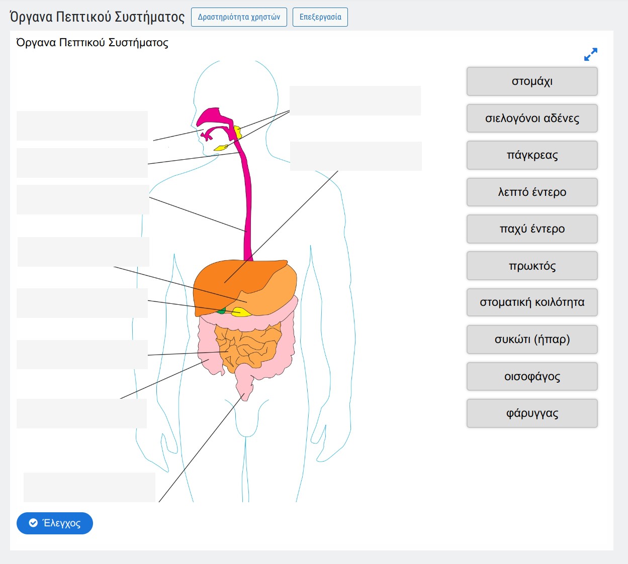 oer_digestive_system_organs_drag_drop_exercise