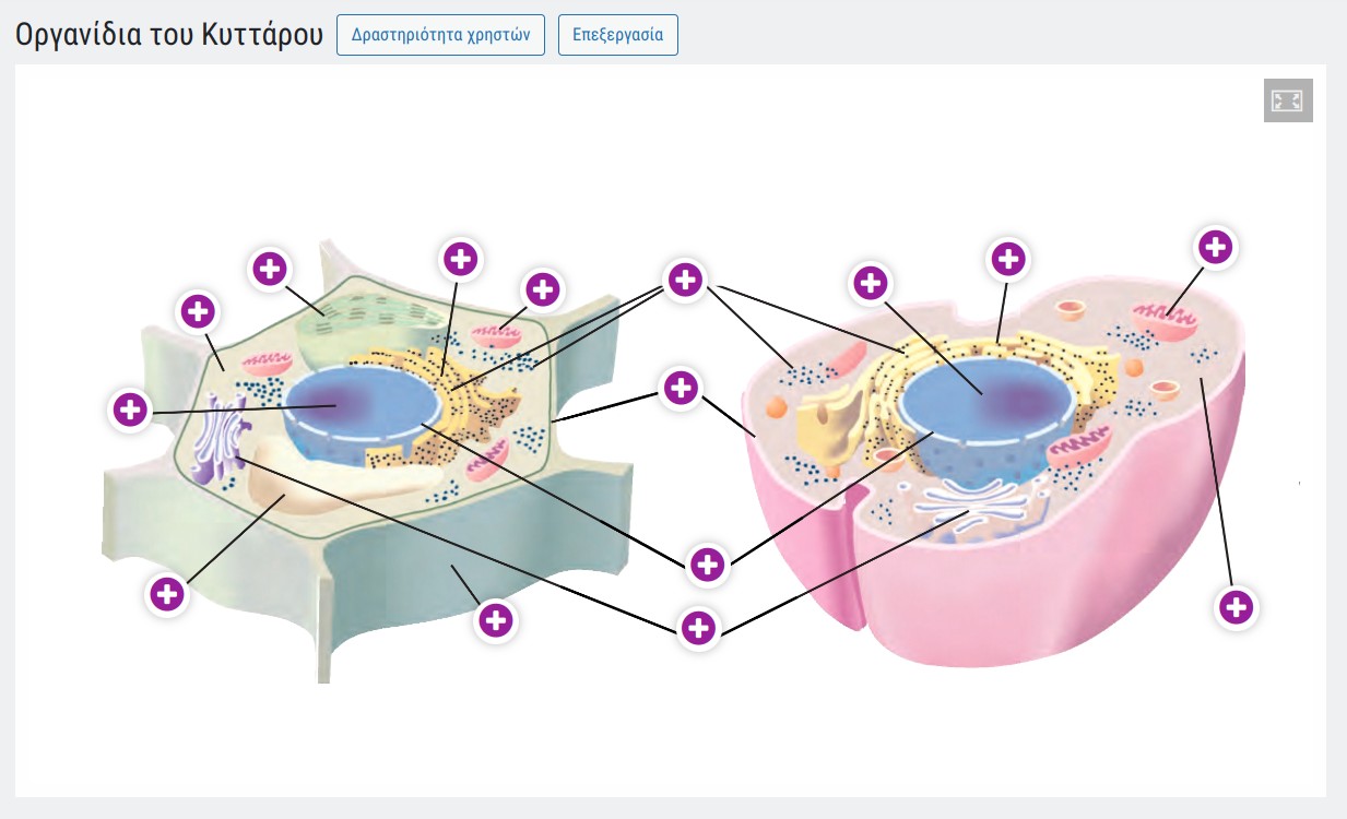 oer_cell_organelles